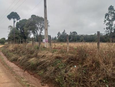 rea para Venda, em Ipiranga, bairro Santaria