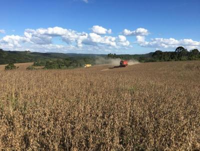 Fazenda para Venda, em Guarapuava, bairro Colonia Palmerinha