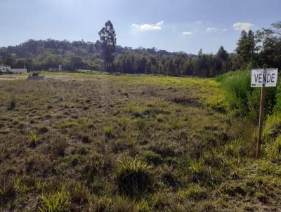 Lote para Venda, em Ipiranga, bairro Centro