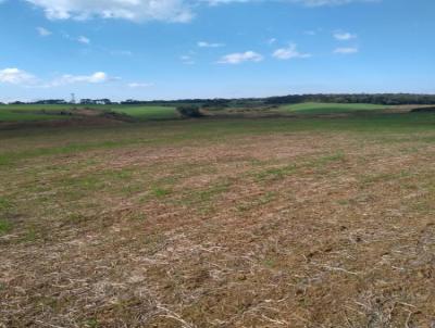 Fazenda para Venda, em , bairro Castrolanda