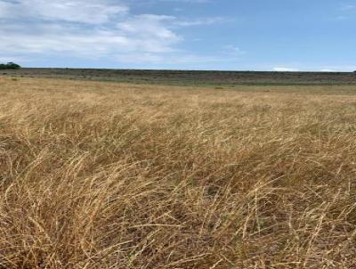 Fazenda para Venda, em Pitanga, bairro Pitanga