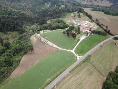 Granja para Venda, em Castro, bairro Interior