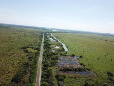 Fazenda para Venda, em Corumb, bairro 17.000 h, 5.100 h produo de arroz