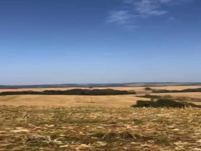 Fazenda para Venda, em Ortigueira, bairro 663 hectares mecanizada.