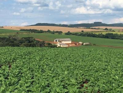 Fazenda para Venda, em Goioxim, bairro Goioxim