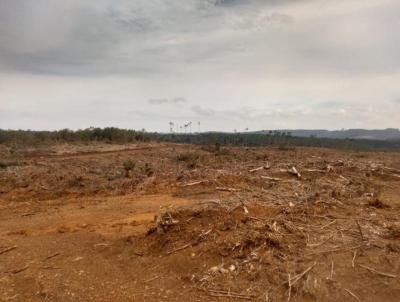 Fazenda para Venda, em Incio Martins, bairro Fazenda com 2.081,2 hectares de rea total.