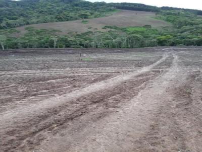 Fazenda para Venda, em Monte Castelo, bairro Fazenda com 577,19 hectares de rea total.