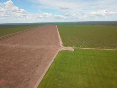 Fazenda para Venda, em Correntina, bairro 5.900 hectares