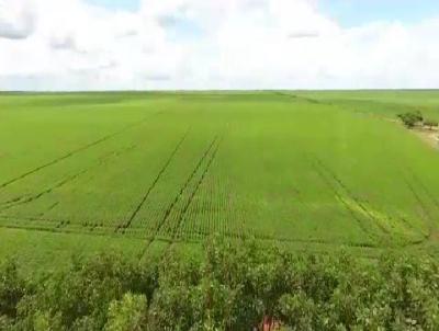 Fazenda para Venda, em Fernando Falco, bairro Fazenda com 10.397,00 hectares de rea total.