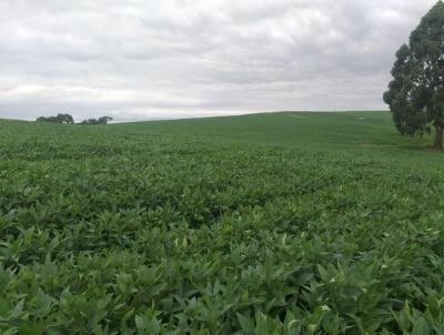 Fazenda para Venda, em Imbituva, bairro Fazenda com 217,80 hectares de rea total.