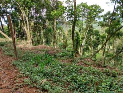 Terreno para Venda, em Itapecerica da Serra, bairro Jardim Renata