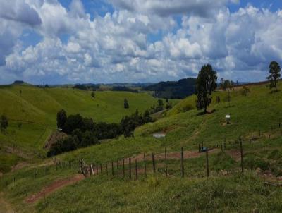 Fazenda para Venda, em Porto Barreiro, bairro Fazenda com 353 hectares de rea total.