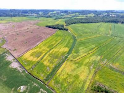 Fazenda para Venda, em Canoinhas, bairro FAZENDA CANOINHAS