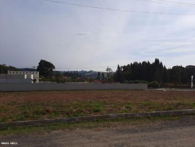 Terreno para Venda, em Irati, bairro Joo Paulo II