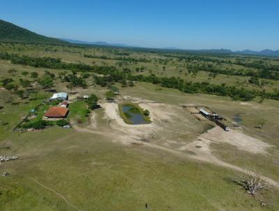 Fazenda para Venda, em Porto Murtinho, bairro Fazenda de Pecuaria