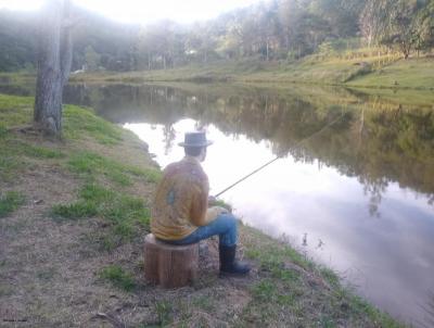Stio para Venda, em Terespolis, bairro CRUZEIRO, 3 dormitrios, 2 banheiros, 1 sute