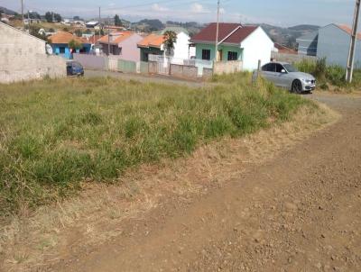 Lote para Venda, em Iva, bairro SO JOS