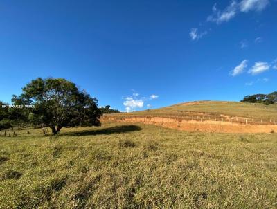 Terreno para Venda, em Matip, bairro ZONA RURAL