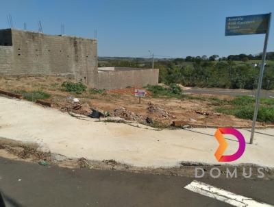 Terreno para Venda, em , bairro JARDIM NOVO PRUDENTINO