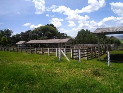 Fazenda para Venda, em Prudentpolis, bairro Fazenda com 140 alqueires de rea de pastagem.