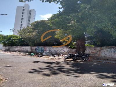 Terreno para Locao, em Recife, bairro ENCRUZILHADA