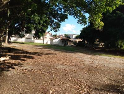 Terreno para Venda, em Cambori, bairro Centro