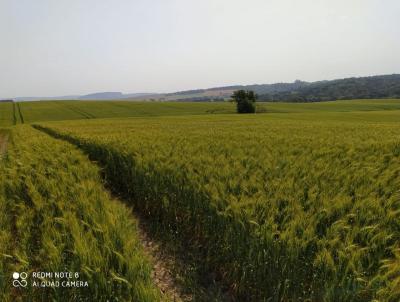 Fazenda para Venda, em , bairro Fazenda com 43 alqueires de rea mecanizada