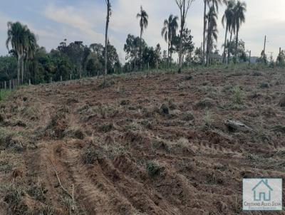 Chcara para Venda, em Sapiranga, bairro Centenrio