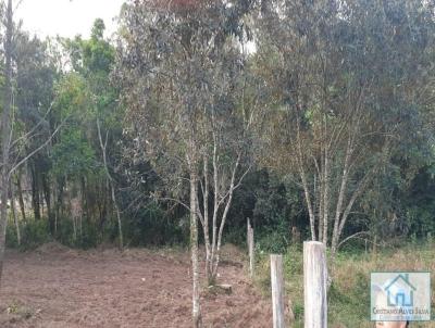 Chcara para Venda, em Sapiranga, bairro Centenrio