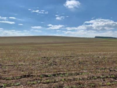 Fazenda para Venda, em So Mateus do Sul, bairro 70 km de So Mateus do Sul