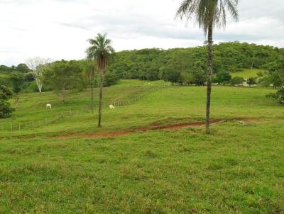 Fazenda para Venda, em Camapu, bairro rural