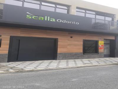 Sala Comercial para Locao, em Taubat, bairro Centro