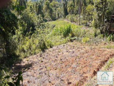 rea Rural para Venda, em Sapiranga, bairro Centenrio