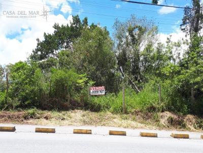 Terreno para Venda, em Florianpolis, bairro Santo Antnio de Lisboa