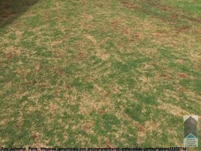 Terreno para Venda, em Descalvado, bairro Centro