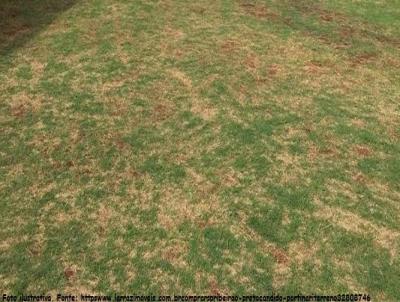 Terreno em Condomnio para Venda, em Pirassununga, bairro Jardim do Lago