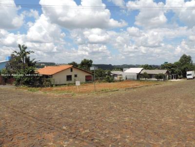 Terreno Residencial para Venda, em So Loureno do Oeste, bairro Santa Catarina