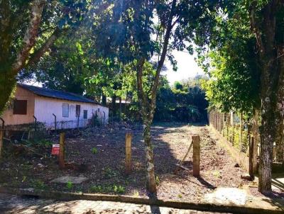 Terreno para Venda, em Santa Cruz do Sul, bairro Monte Verde