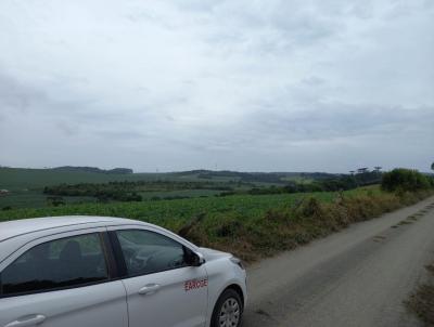 Chcara para Venda, em Imbituva, bairro interior  de Imbituva