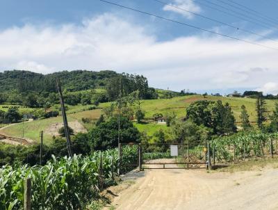 Stio para Venda, em Rio do Sul, bairro Albertina