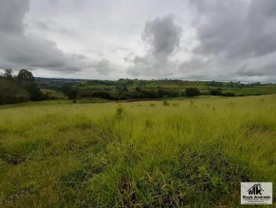 Stio / Chcara para Venda, em Cornlio Procpio, bairro REA RURAL