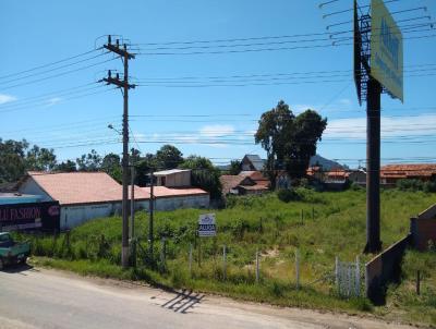 Terreno para Locao, em Imbituba, bairro Alto Arroio