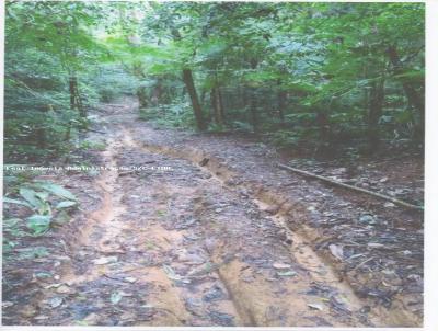 rea para Venda, em Pedro de Toledo, bairro zona rural