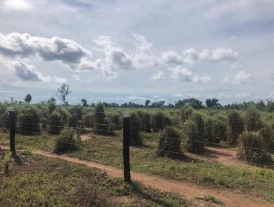Fazenda para Venda, em Sandolndia, bairro Zona Rural