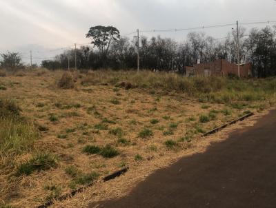 Terreno para Venda, em , bairro Res. Unio