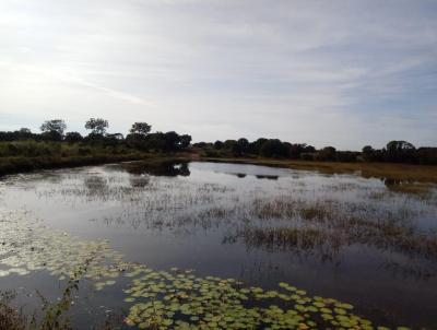 Fazenda para Venda, em Alvorada, bairro Zona Rural