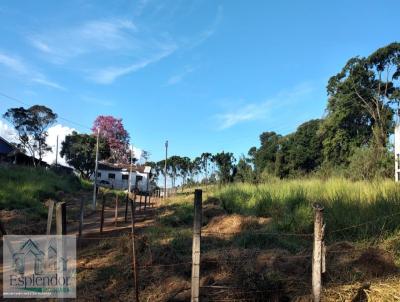 Stio para Venda, em Pinhalzinho, bairro , 6 dormitrios, 6 banheiros, 15 vagas