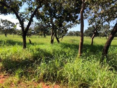 Terreno para Venda, em Aparecida de Goinia, bairro Zona Rural