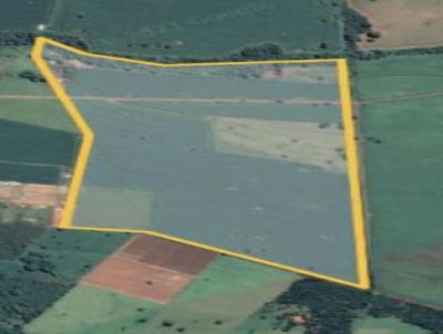 Fazenda para Venda, em Goianpolis, bairro Zona Rural