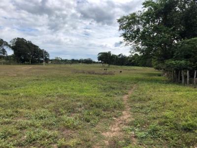 Fazenda para Venda, em Paran, bairro Zona Rural